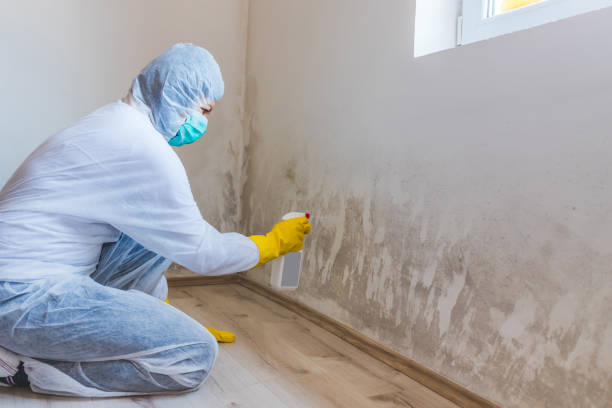 Mold inspector in Camden performing thermal imaging